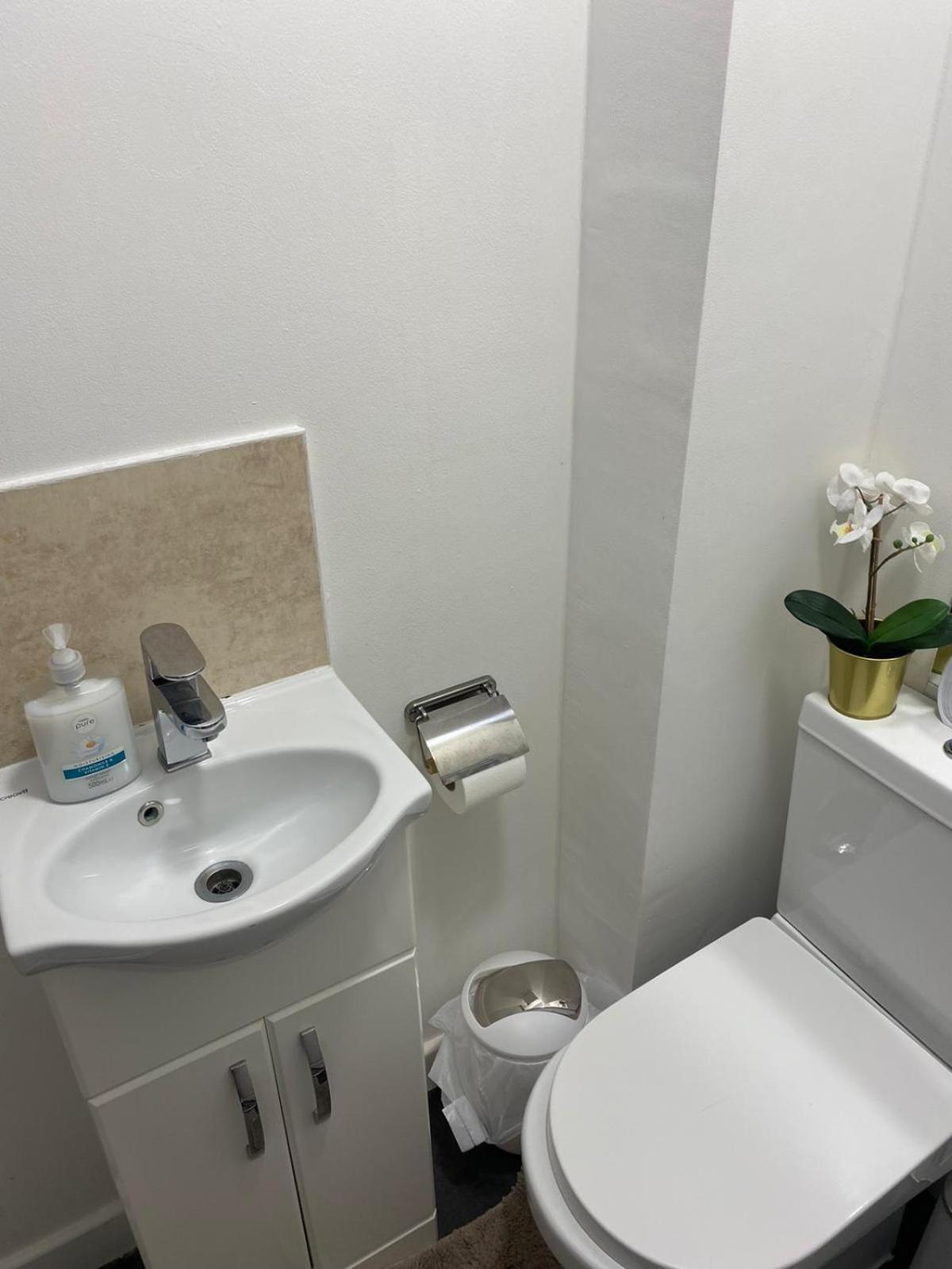 Waylen Street Suites 雷丁 客房 照片